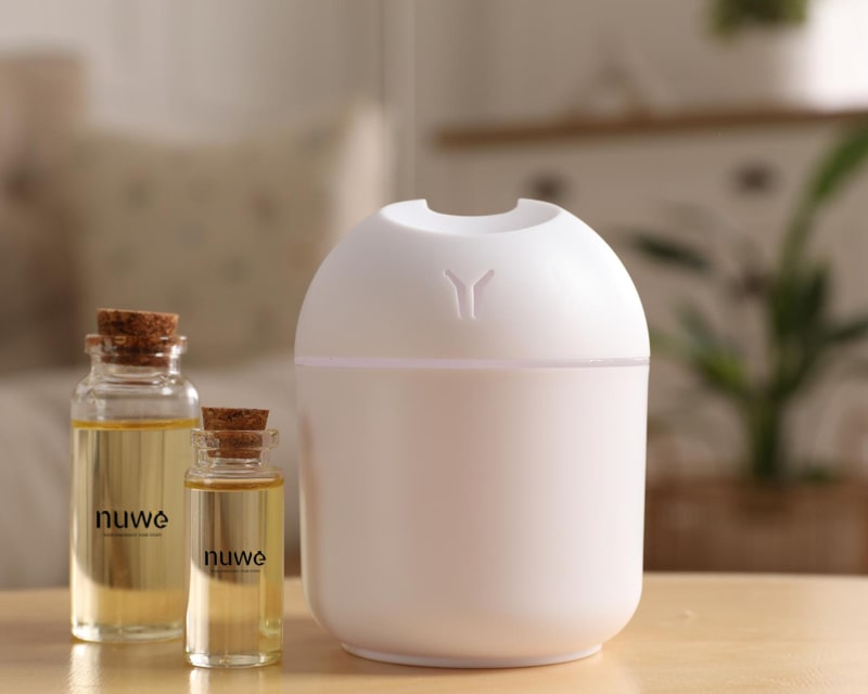 Electric Diffusers